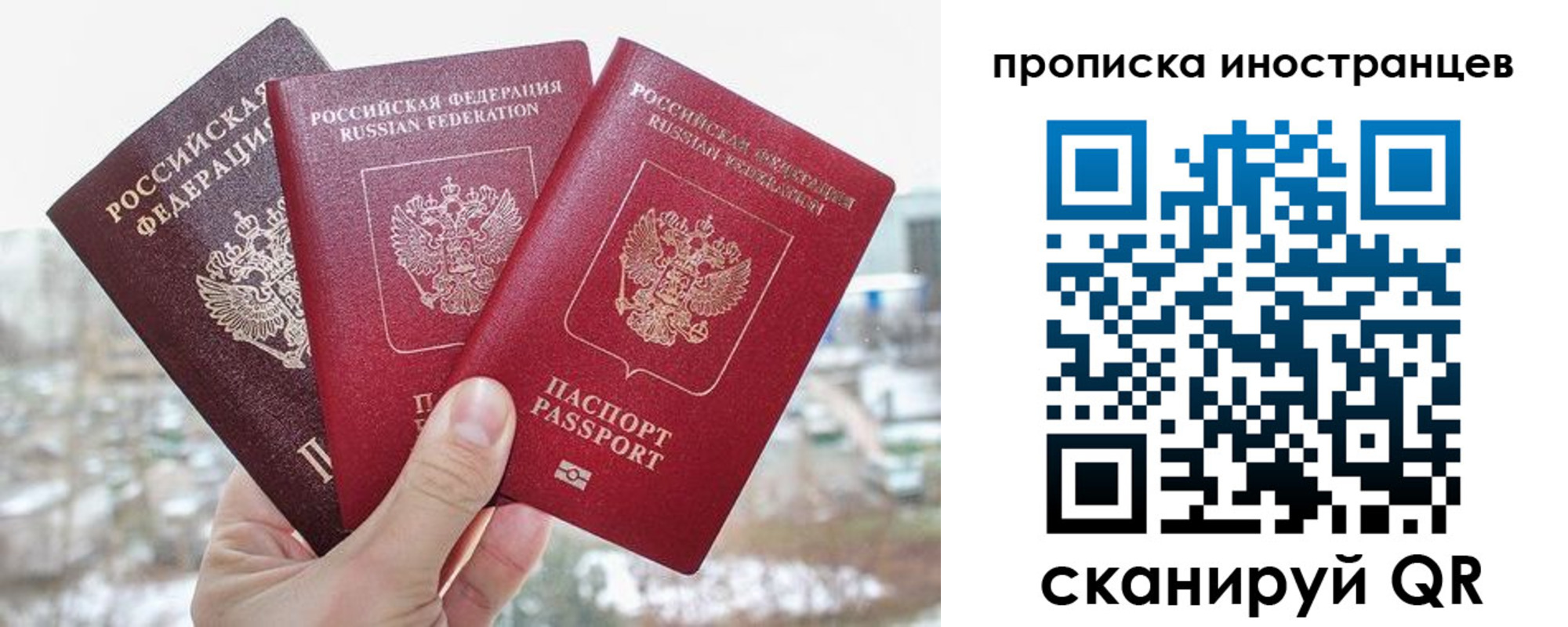 временная регистрация поиск в Краснозаводске